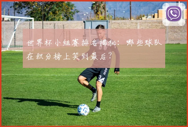 世界杯小组赛排名揭秘：哪些球队在积分榜上笑到最后？