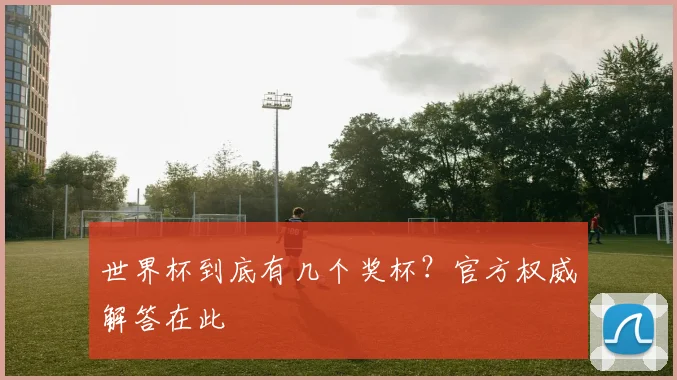 世界杯到底有几个奖杯？官方权威解答在此