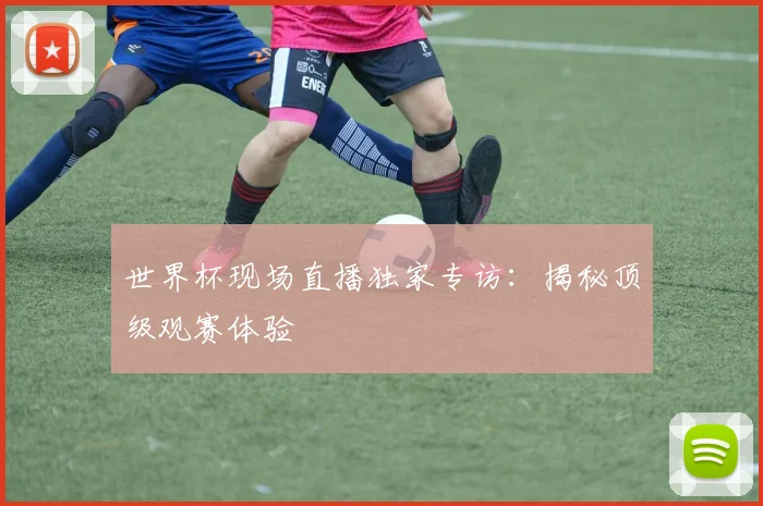 世界杯现场直播独家专访：揭秘顶级观赛体验